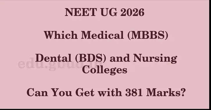 This image shows the estimated Rank for the neet ug mark 381 graphically